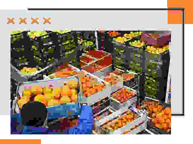Перевозка скоропортящихся продуктов в Ишимбае